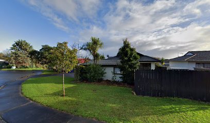 Chimney Sweep Auckland