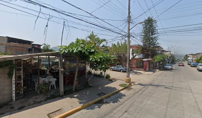 Chapulín Oaxaqueño