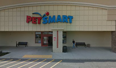 PetSmart Dog Training