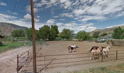 Cochise Horseshoeing