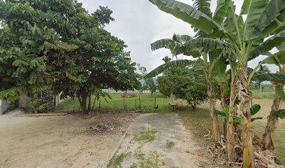 Pafi Riau