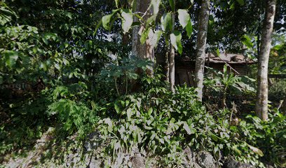 MAKAM MBAH SAMEN