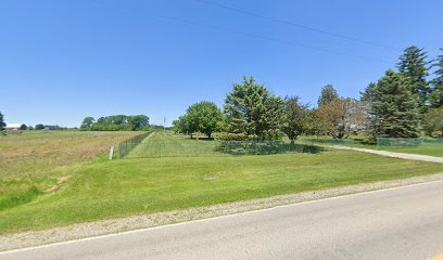 East Ida Immanuel cemetery