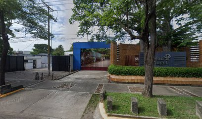 Escuela de Natación Delfines