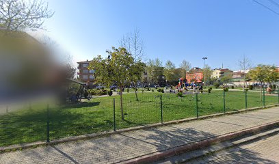 Merminin parkı