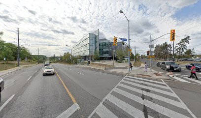 Ellesmere Rd at Military Trail (East)