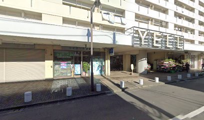 ライオン化粧品店