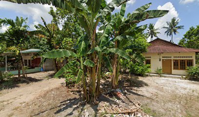 Rumah madu mallifera pak maliky