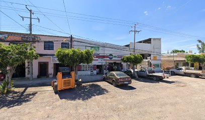 Materiales Guadalupanos