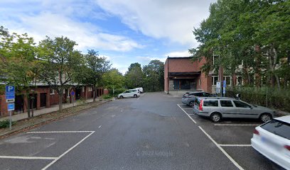 Blackebergs Gymnasium