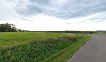 Lagesse Dairy Farms Inc