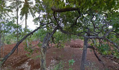 Taman Kanak Kanak Aster