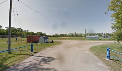 Deloraine Ball Diamonds