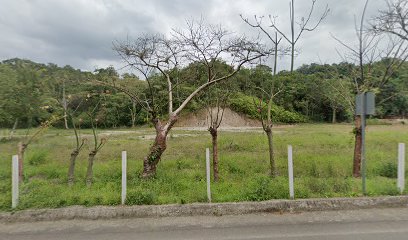 Zanzontla , Hueytamalco