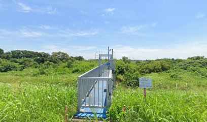 大日排水樋管