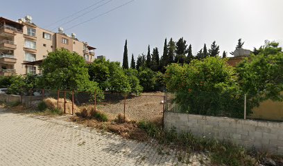 Küçükdalyan Belediyesi Asri Mezarlığı