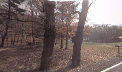 Iron Mine Pond Marker