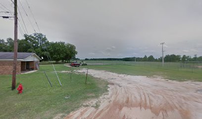 Davis Park-volleyball court