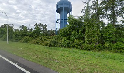Palm Coast water tower/Palm Tree