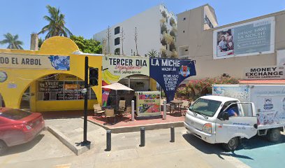 Dentist in Mazatlan