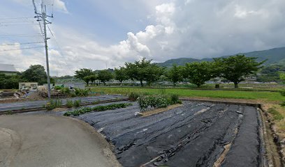 那賀若もの広場少年野球場