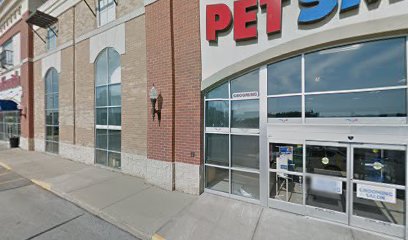 PetSmart Dog Training