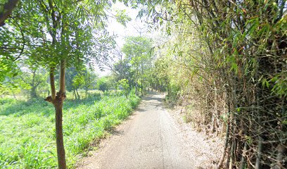 SDN Balunganyar Lekok