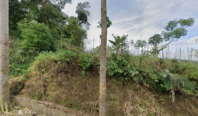 Ladang Mianto ( Sarangan )