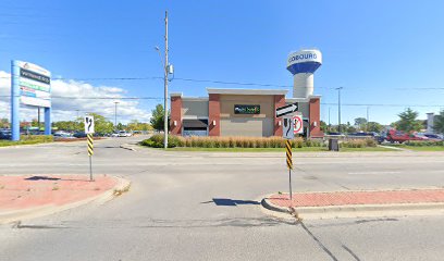 PetSmart Dog Training