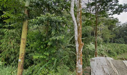 Curug Goong Tenjolaya