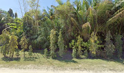 Fruit Trees