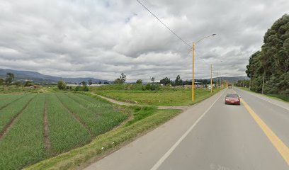 Vivero Terra verde