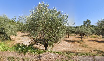 Quinta da Meda