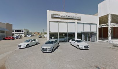 Audi Del Sur Exclusivos