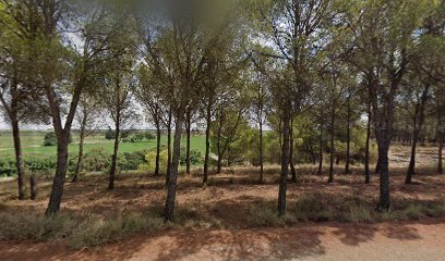 Zona dе observación dе aves - AZUD SOBRE RIO RIGUEL - Ejea dе los Caballeros