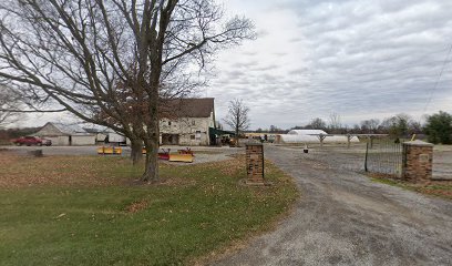 Slyfork Valley Nursery