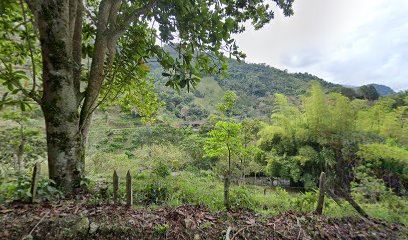 Finca la Vega