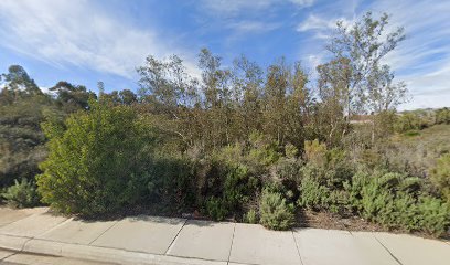 Chollas Lake