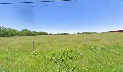 Aunt Stephani's Farm