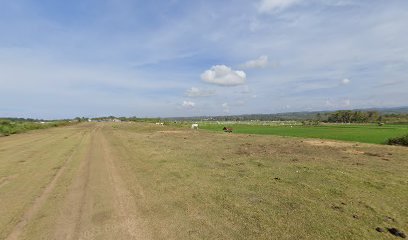 Lapangan Terbang Cidamar