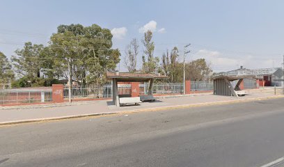 Para De Autobuses De La Escuela Primaria Mariano Matamoros