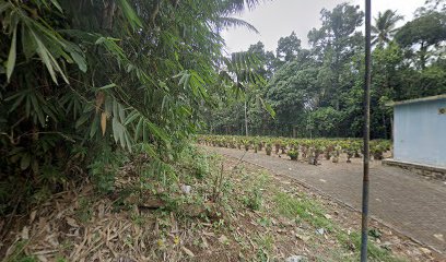 Pemakaman Umum Dusun Krajan