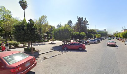 Carritos de Tequis