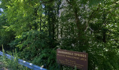 Shannondale Springs