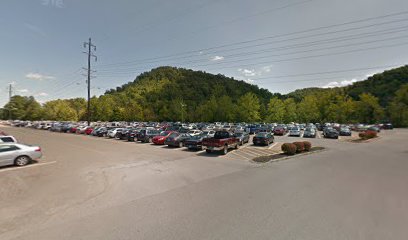 MSU Parking Lot