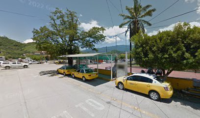 Sitio de Taxis Casimiro Castillo