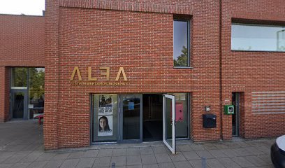 Cabaret Alfa - Vesthimmerland