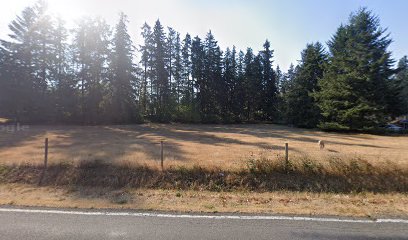 Alpacas of Wintercreek