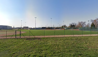 Baseball practicing field