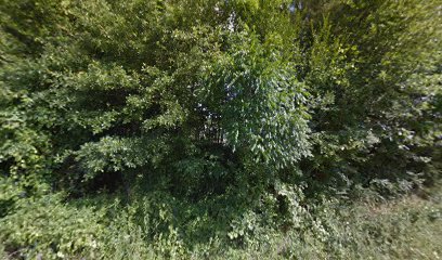 Beebe Chapel Cemetery